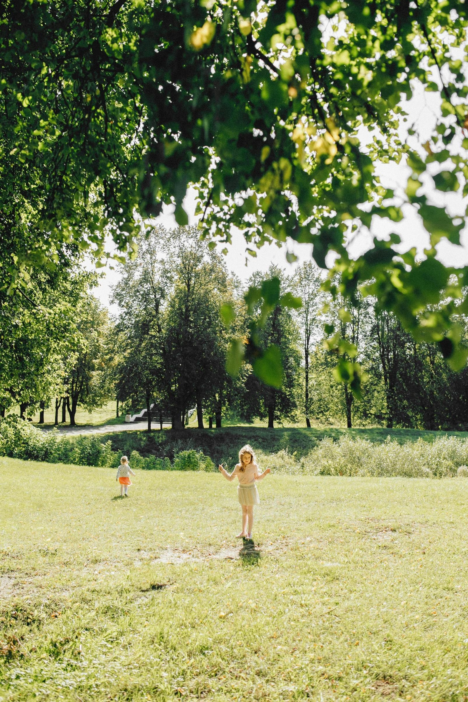 Children playing in a sunny park meadow